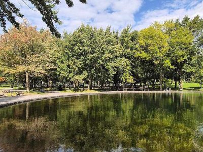 Jigsaw puzzle Jigsaw puzzle Nature View with Pool