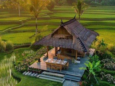 Jigsaw puzzle Nipa Hut House Rice Farm, preview