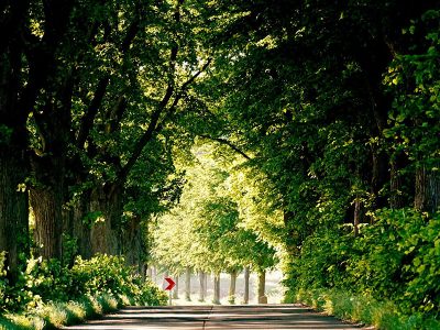Jigsaw puzzle Jigsaw puzzle Notice Arrow