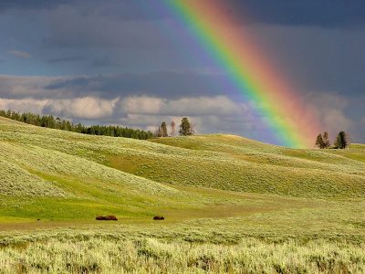 Jigsaw puzzle Rainbow Hills Landscape