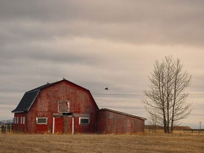 Jigsaw puzzle Jigsaw puzzle Red Old Barn in the Farm