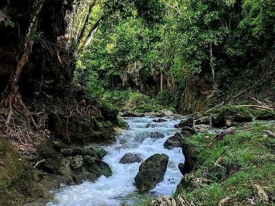 Jigsaw puzzle Jigsaw puzzle River or Stream with No Specific Location
