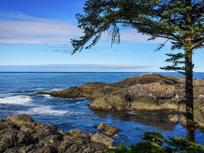 Jigsaw puzzle Jigsaw puzzle Rocky Sea Coast