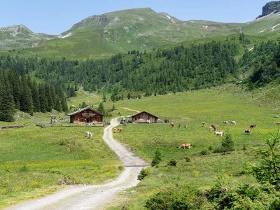 Jigsaw puzzle Rustic Barn Style Landscape, preview