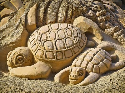 Jigsaw puzzle Jigsaw puzzle Sandburg Art