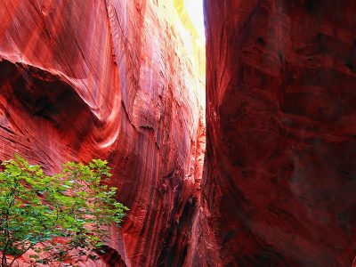 Jigsaw puzzle Slot Canyon Utah Landscape