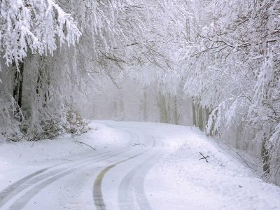 Jigsaw puzzle Jigsaw puzzle Snow Covered Road Through Forest