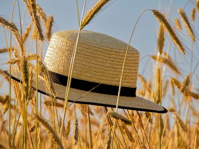Jigsaw puzzle Jigsaw puzzle Straw Hat Summer Image