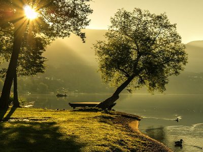 Jigsaw puzzle Jigsaw puzzle Summer Landscape Sunrise Mood