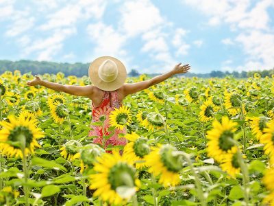 Jigsaw puzzle Jigsaw puzzle Sunflowers Field Woman