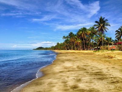 Jigsaw puzzle Tropical Beach with Palm Trees, preview