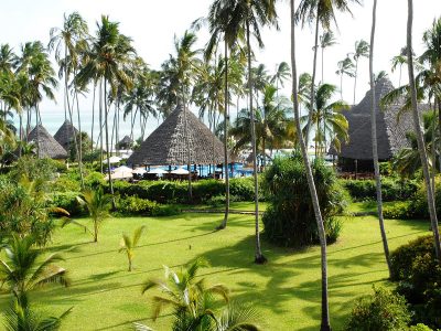 Jigsaw puzzle Jigsaw puzzle Tropical Zanzibar Ocean Paradise