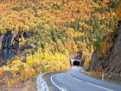 Jigsaw puzzle Jigsaw puzzle Tunnel Road under Forest Autumn Time