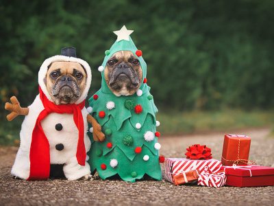 Jigsaw puzzle Jigsaw puzzle Two Dogs on Costume and Gift