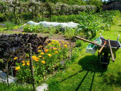 Farm jigsaw puzzle: Vegetable Garden with a Wheelbarrow