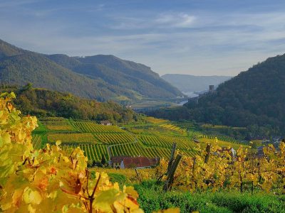 Jigsaw puzzle Vineyard Village Landscape