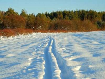 Jigsaw puzzle Jigsaw puzzle Well Defined Cross Country Ski Tracks