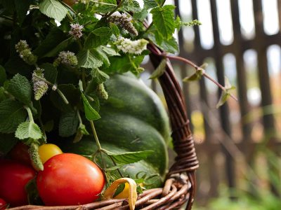 Jigsaw puzzle Wicker Basket Filled with Fresh Vegetables Herbs