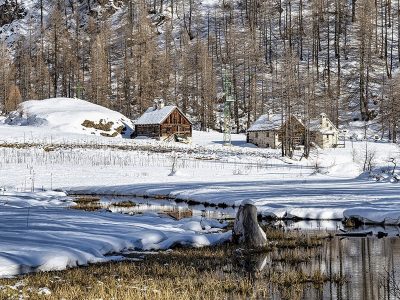 Jigsaw puzzle Winter Houses Barn River Forest, preview