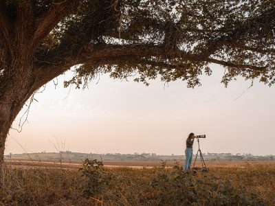 Jigsaw puzzle Jigsaw puzzle Woman Standing under Big Tree