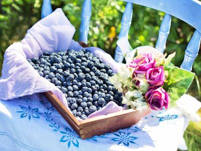 Jigsaw puzzle Jigsaw puzzle Wooden Crate Filled with Fresh Blueberries