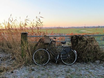 Puzzle di Puzzle di Bicicletta contro la recinzione metallica