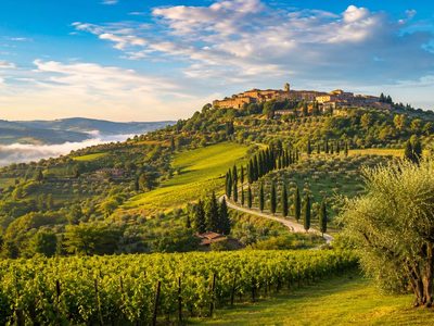 Puzzle di Borgo toscano tra i cipressi