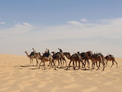 Puzzle di Carovana di cammelli nel deserto, anteprima