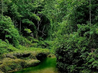 Puzzle di Danicop Ticugan primavera naturale fredda Loon Bohol