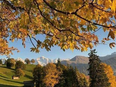 Puzzle di Puzzle di Foglie gialle in primo piano d'autunno