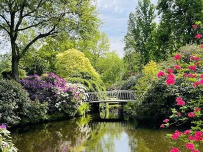 Puzzle di Puzzle di Giardino botanico storico di Rotterdam