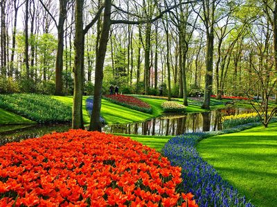 Puzzle di Puzzle di Giardino fiorito colorato