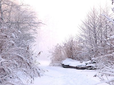 Puzzle di Paesaggio innevato tutto bianco