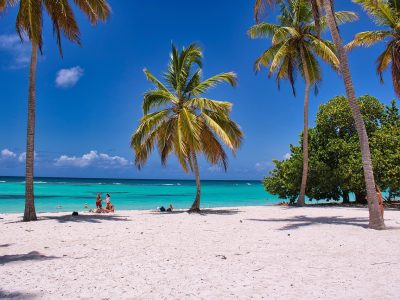 Puzzle di Spiaggia tropicale con palme, anteprima