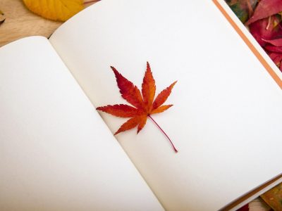 Legpuzzel Boekenkast, voorbeeld