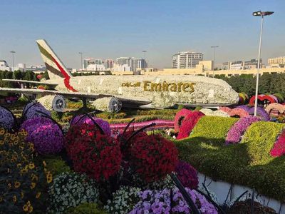 Legpuzzel Dubai Miracle Garden ligt in de wijk Dubailand, voorbeeld