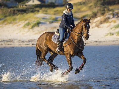 Legpuzzel Galopperend paard op het strand, voorbeeld