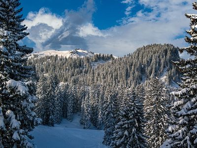 Legpuzzel HochybrigZwitserland natuur winter, voorbeeld