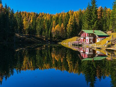Legpuzzel Legpuzzel Houten hut bij het natuurgebied