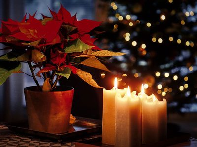 Legpuzzel Legpuzzel Kerststilleven met poinsettia en brandende kaarsen