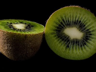 Legpuzzel Legpuzzel Levendige kiwi