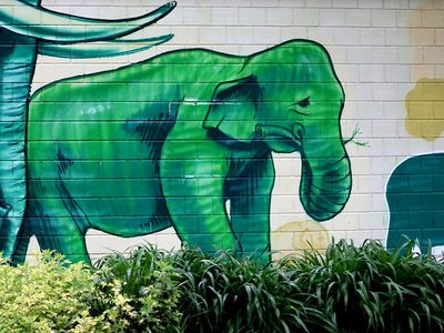 Legpuzzel Legpuzzel Muurschildering van een groene olifant op een muur