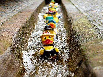 Legpuzzel Legpuzzel Rij synthetische rubberen eendjes