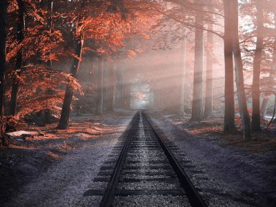Legpuzzel Trein door het herfstbos, voorbeeld