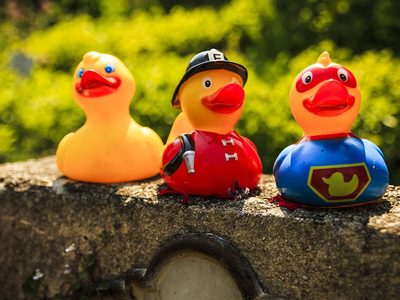 Legpuzzel Verschillende soorten rubberen eendjes