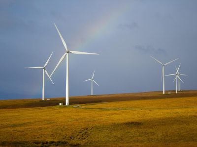 Legpuzzel Windmolens in het veld, voorbeeld