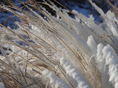 Legpuzzel Legpuzzel Winterse omstandigheden waarbij riet en gras bedekt zijn met een dikke laag ijs