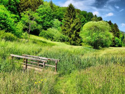 Puzzle Delikatna zielona natura