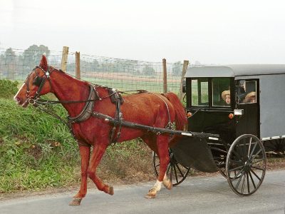 Jigsaw puzzle Amish horse and buggy in Lancaster County