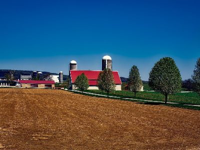 Jigsaw puzzle Red Barn Farm